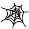 spiderwebb